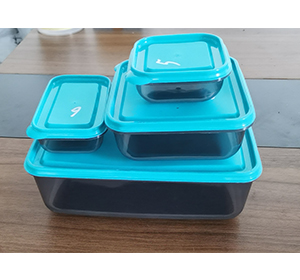 一次性快餐盒模具 (2).jpg